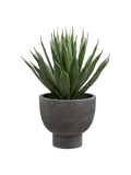 Agave künstlich Kunstpflanze mit pot Kunstpflanze Living Nordic