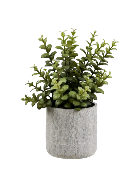 Sukkulente künstlich mit Zementtopf Kunstpflanze Living Nordic