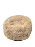 Sessel | Sessel | C02886-01-1D - von LIVING Collection online kaufen bei LIVINGforme.