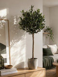 Olivenbaum künstlich Kunstpflanze Living Nordic