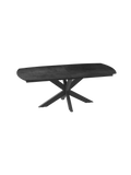 Esstisch | Esstisch Phoenix | DT071 - Titan von Akante online kaufen bei LIVINGforme.