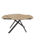 Esstisch Stromboli, 130/190 x 100 cm Esstisch Akante