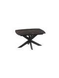 Esstisch | Esstisch Phoenix | DT369 - Rostbraun von Akante online kaufen bei LIVINGforme.