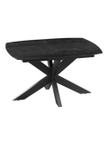 Esstisch Phoenix, 130/170 x 100 cm Esstisch Akante Titan