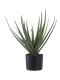 Aloe Vera künstlich Kunstpflanze Living Nordic