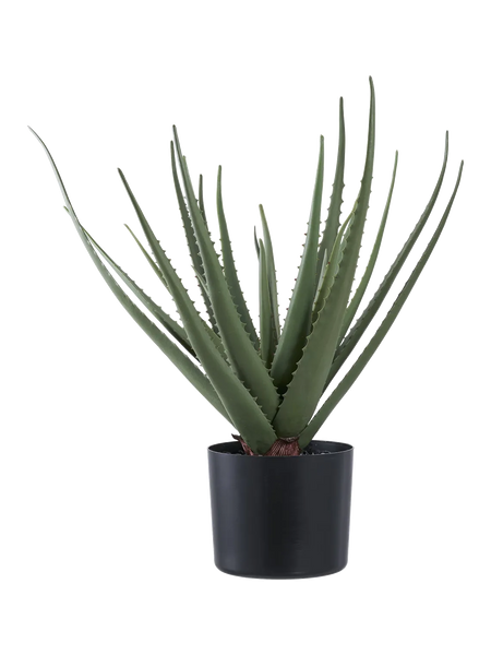 Aloe Vera künstlich Kunstpflanze Living Nordic