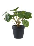 Pilea künstlich Kunstpflanze Living Nordic