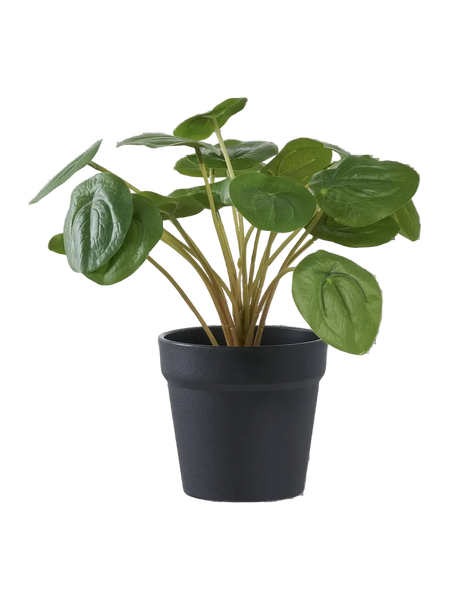 Pilea künstlich Kunstpflanze Living Nordic