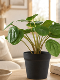 Pilea künstlich Kunstpflanze Living Nordic