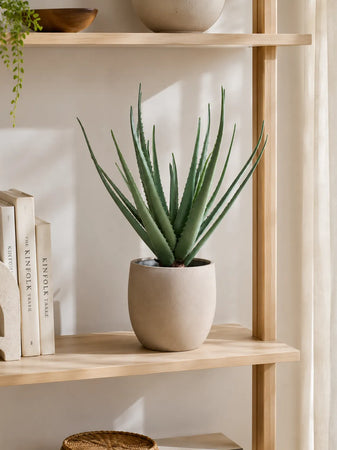 Aloe Vera künstlich Kunstpflanze Living Nordic