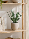 Aloe Vera künstlich Kunstpflanze Living Nordic
