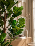 Fiddle Kunstbaum Kunstpflanze Living Nordic