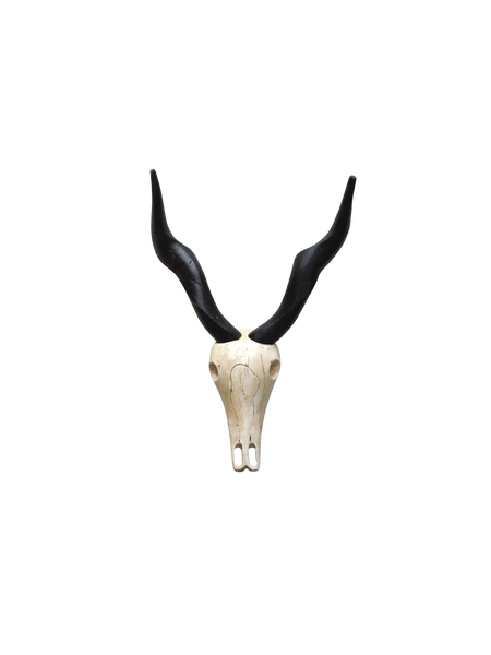 Deko-Geweih | "Antilope Sid"
