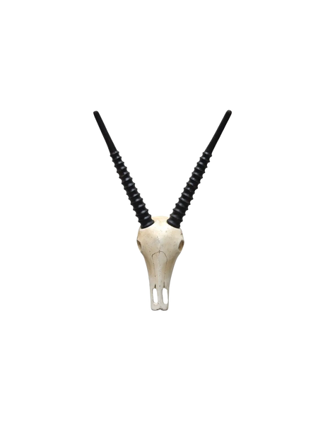 Deko-Geweih | "Antilope Diego"