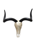 Deko-Objekte | Deko-Geweih | "Antilope Scrat" - von LIVING online kaufen bei LIVINGforme.