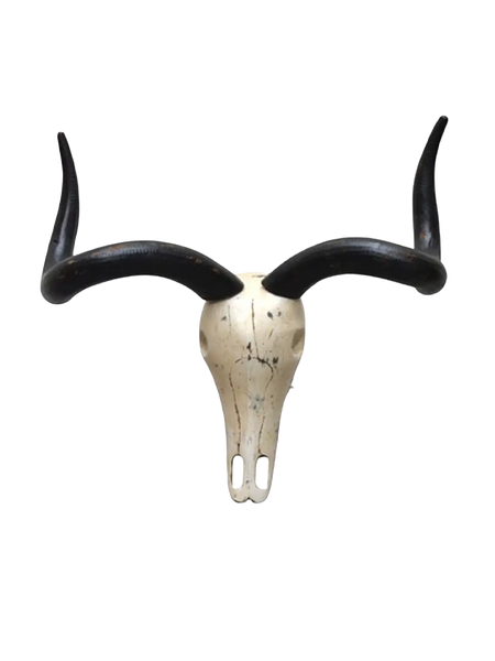 Deko-Objekte | Deko-Geweih | "Antilope Scrat" - von LIVING online kaufen bei LIVINGforme.