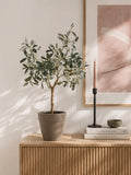 Olivenbaum künstlich Kunstpflanze Living Nordic