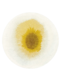 Meditation Drop Gold Moss Runder Teppich Teppich Louis de Poortere