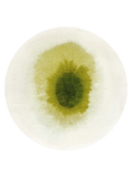 Meditation Drop Green Pepper Runder Teppich Teppich Louis de Poortere