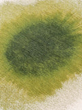 Meditation Drop Green Pepper Teppich Teppich Louis de Poortere