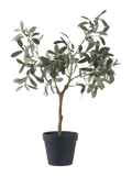 Olivenbaum künstlich Kunstpflanze Living Nordic 61 cm