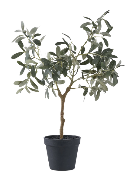 Olivenbaum künstlich Kunstpflanze Living Nordic 61 cm