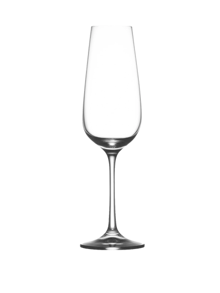 Glas | POMAX Sauvignon Champagnerglas - von POMAX online kaufen bei LIVINGforme.