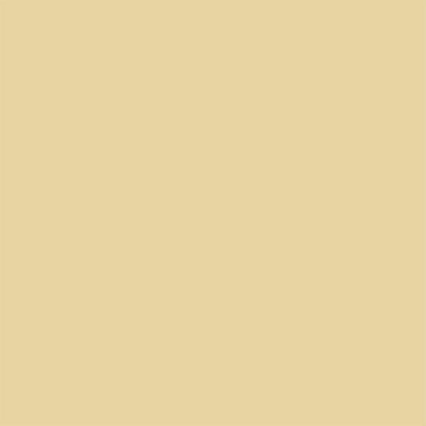Wand | Wand - Farrow & Ball - String No. 8 -  von Farrow & Ball online kaufen bei LIVINGforme.