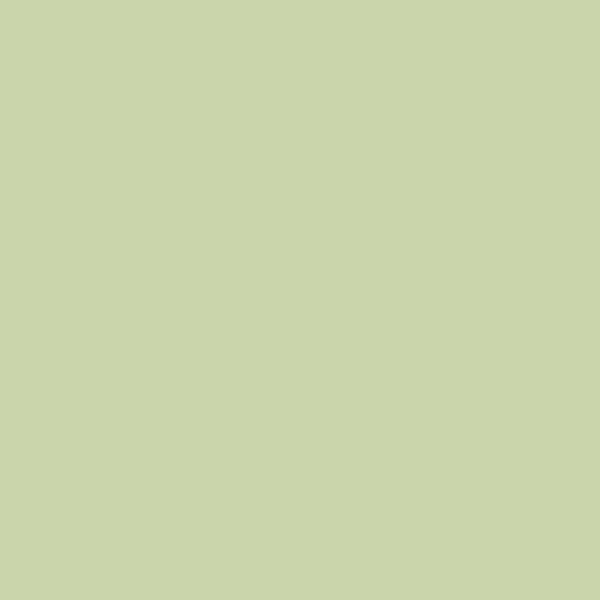 Wandfarbe | Wandfarbe - Farrow & Ball - Cooking Apple Green No. 32 -  von Farrow & Ball online kaufen bei LIVINGforme.