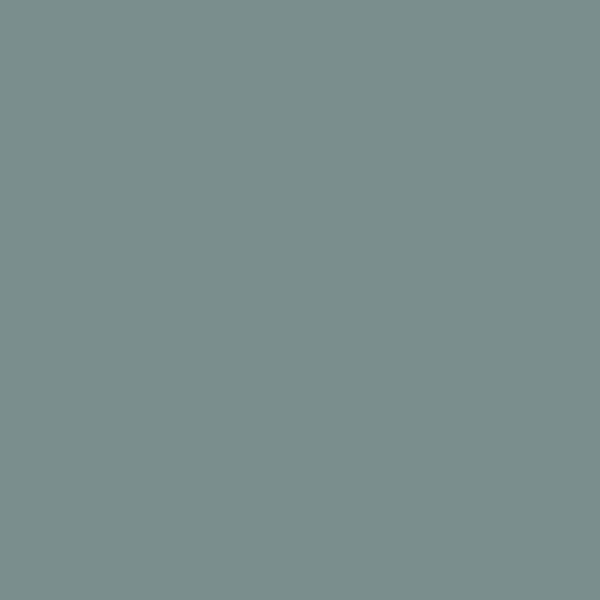 Wandfarbe | Wandfarbe - Farrow & Ball - Oval Room Blue No. 85 -  von Farrow & Ball online kaufen bei LIVINGforme.