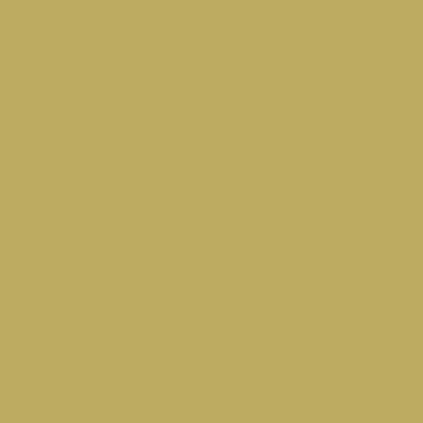 Wand | Wand - Farrow & Ball - Churlish Green No. 251 -  von Farrow & Ball online kaufen bei LIVINGforme.