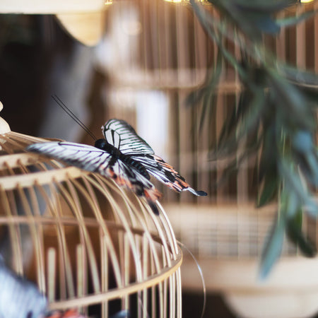 Deko-Objekte | Deko Schmetterling mit Clip -  von LIVING online kaufen bei LIVINGforme.