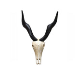 Deko-Objekte | Deko-Geweih | "Antilope Sid" -  von LIVING online kaufen bei LIVINGforme.