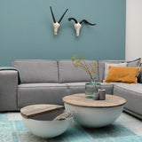 Deko-Objekte | Deko-Geweih | "Antilope Scrat" -  von LIVING online kaufen bei LIVINGforme.