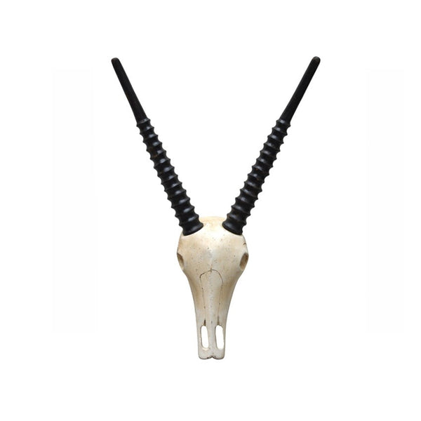 Deko-Objekte | Deko-Geweih | "Antilope Diego" -  von LIVING online kaufen bei LIVINGforme.